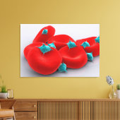 赤血球血小板1 キャンバスプリント (インサイチュ (リビング))