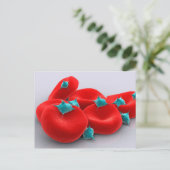 赤血球血小板1 ポストカード (スタンド正面)