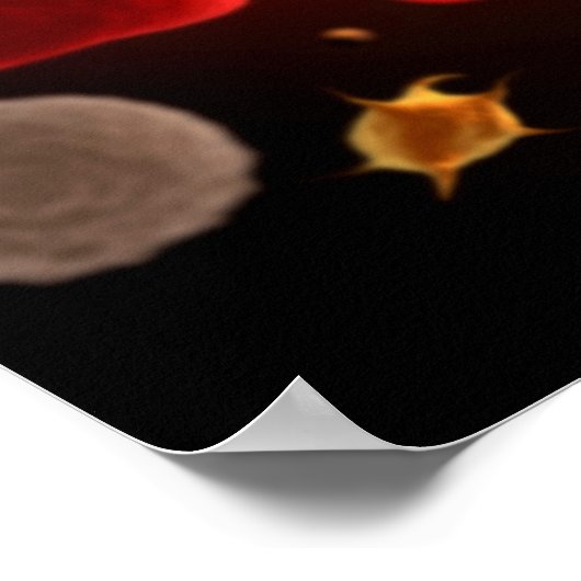 赤血球血小板2 ポスター (角)