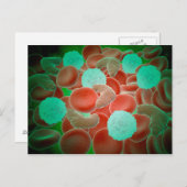 赤血球赤血球貧血 ポストカード (正面/裏面)