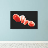 赤血球 キャンバスプリント (インサイチュ (ウッドフロア))