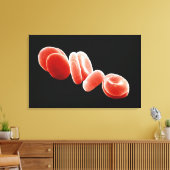 赤血球 キャンバスプリント (インサイチュ (リビング))