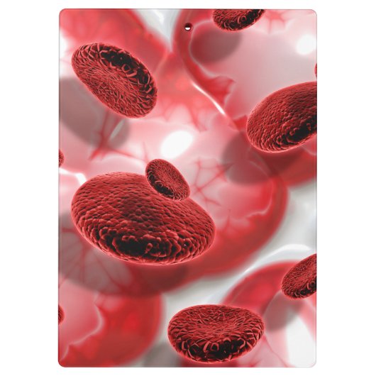 赤血球 クリップボード (裏面)