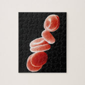 赤血球 ジグソーパズル (縦)