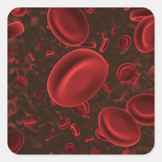 赤血球 スクエアシール (正面)
