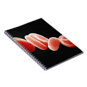 赤血球 ノートブック (右側)