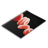 赤血球 ノートブック (左側)