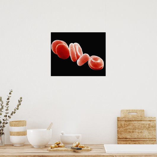 赤血球 ポスター (キッチン)