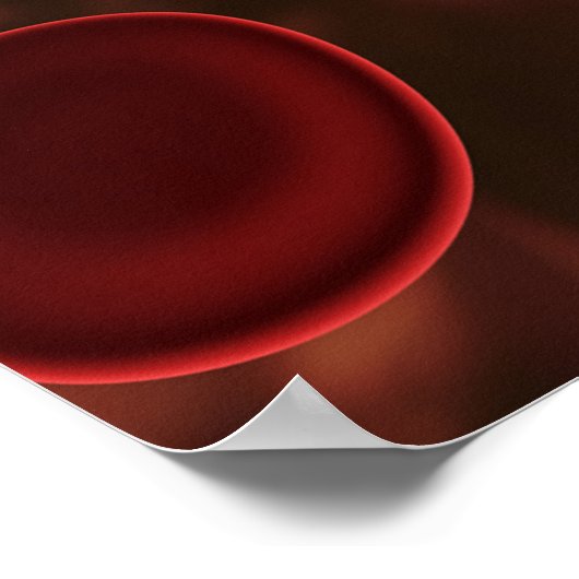 赤血球 ポスター (角)