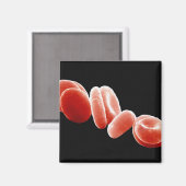 赤血球 マグネット (正面/裏面)