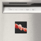 赤血球 マグネット (インサイチュ (食洗機))