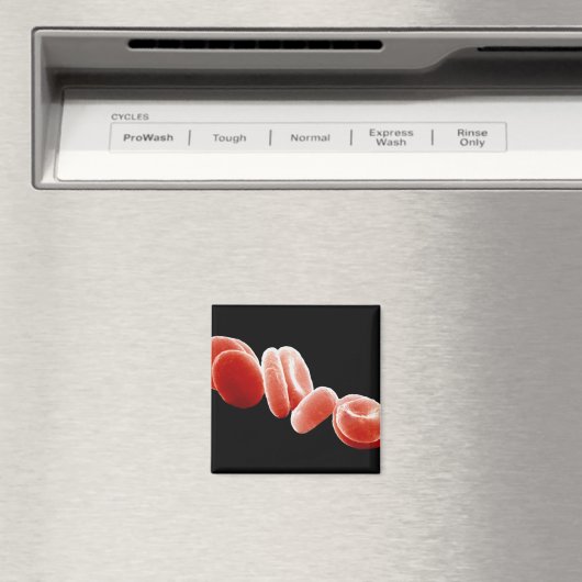 赤血球 マグネット (インサイチュ (食洗機))