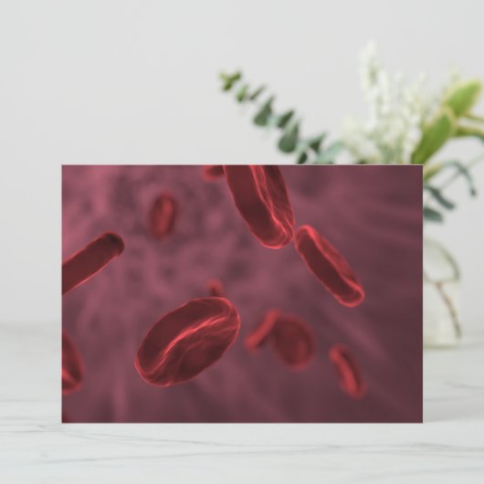 赤血球 招待状 (スタンド正面)