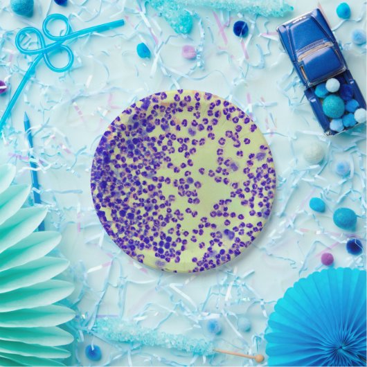 赤血球wbcsスライド顕微鏡血液検査 ペーパープレート (パーティー)