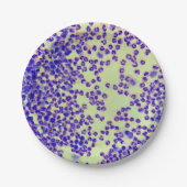 赤血球wbcsスライド顕微鏡血液検査 ペーパープレート (正面)