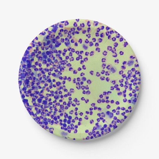 赤血球wbcsスライド顕微鏡血液検査 ペーパープレート (正面)