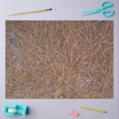 赤褐色の松の葉の写真 薄葉紙 (クラフト)