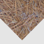 赤褐色の松の葉の写真 薄葉紙 (詳細)