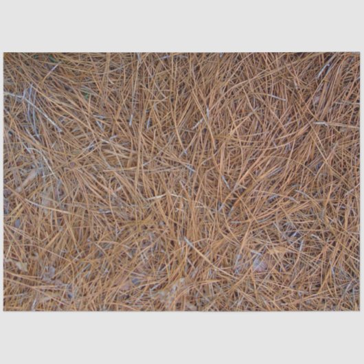 赤褐色の松の葉の写真 薄葉紙 (正面)