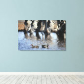 赤褐色ティール（緑がかった色）(Anas erythorhyncha)ペア キャンバスプリント (インサイチュ (ウッドフロア))