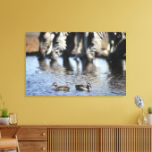 赤褐色ティール（緑がかった色）(Anas erythorhyncha)ペア キャンバスプリント (インサイチュ (リビング))