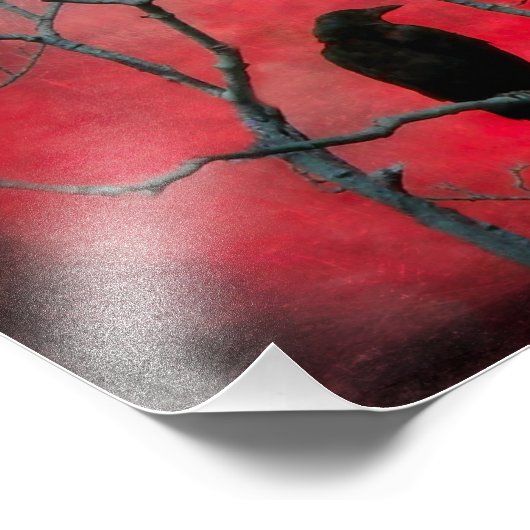 赤視 フォトプリント            (角)