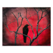 赤視 フォトプリント            (正面)