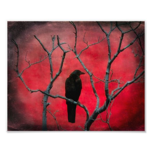 赤視 フォトプリント            (正面)