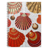 赤貝 ノートブック (正面)