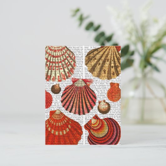 赤貝 ポストカード (スタンド正面)