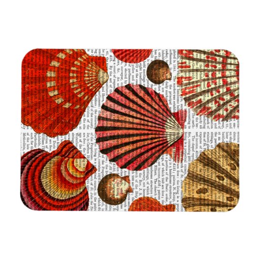 赤貝 マグネット (横)