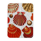 赤貝 マグネット (縦)