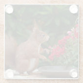 赤赤と白い花の茂みリス ガラスコースター (裏面)