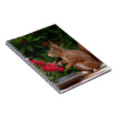 赤赤と白い花の茂みリス ノートブック (右側)