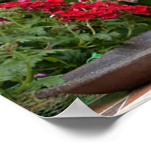 赤赤と白い花の茂みリス ポスター (角)