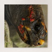 赤足亀 ジグソーパズル (横)