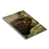 赤足亀 ノートブック (右側)