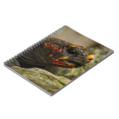 赤足亀 ノートブック (左側)