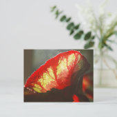 赤輝く葉 ポストカード (スタンド正面)