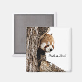 赤遊パンダののぞきブー！ マグネット (正面/裏面)