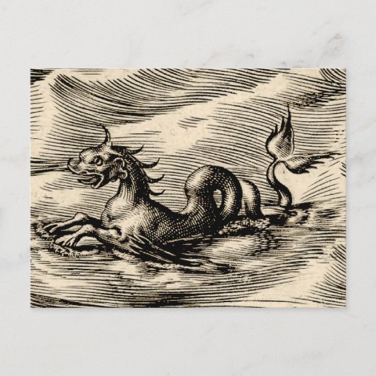 赤道の海の龍 ポストカード (正面)