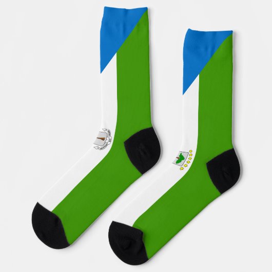 赤道ギニア国旗 ソックス (左)