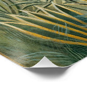 赤道ジャングル1909 (キャンバス上の油) ポスター (コーナー)