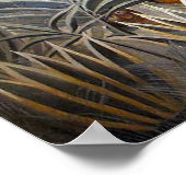 赤道ジャングル ポスター (角)