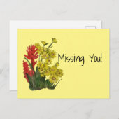 赤金ゴールドロージー・ファイアウィード・アスター ポストカード (正面/裏面)