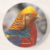 赤金雉の輪郭 コースター (正面)