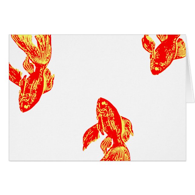 赤金魚 (正面横)