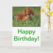 赤長髪ダシュント カード (黄色い花)