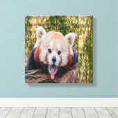 赤間抜けパンダ キャンバスプリント (インサイチュ (ウッドフロア))