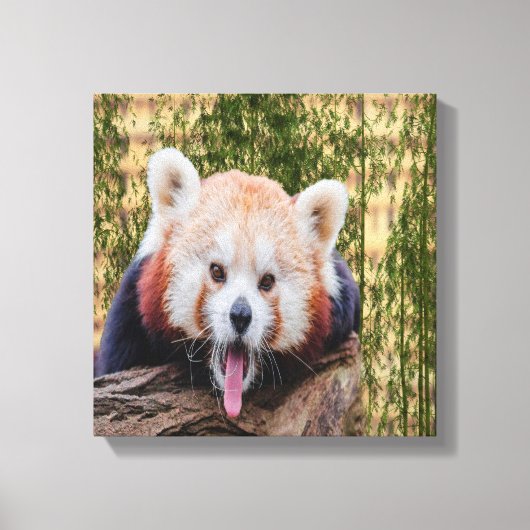 赤間抜けパンダ キャンバスプリント (正面)